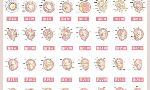 腰扭伤什么症状网 | 腰扭伤什么症状有哪些,腰扭伤的症状表现