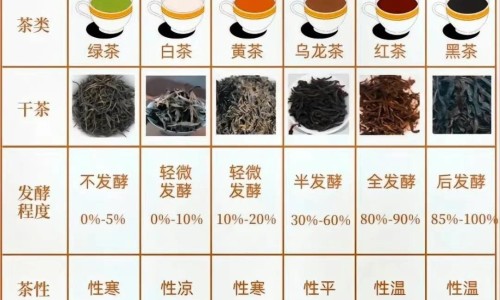 腰扭伤什么症状-腰扭伤什么症状网 | 腰扭伤什么症状有哪些,腰扭伤的症状表现